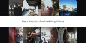 Die 8 mitreißendsten von Ring aufgezeichneten Videos
