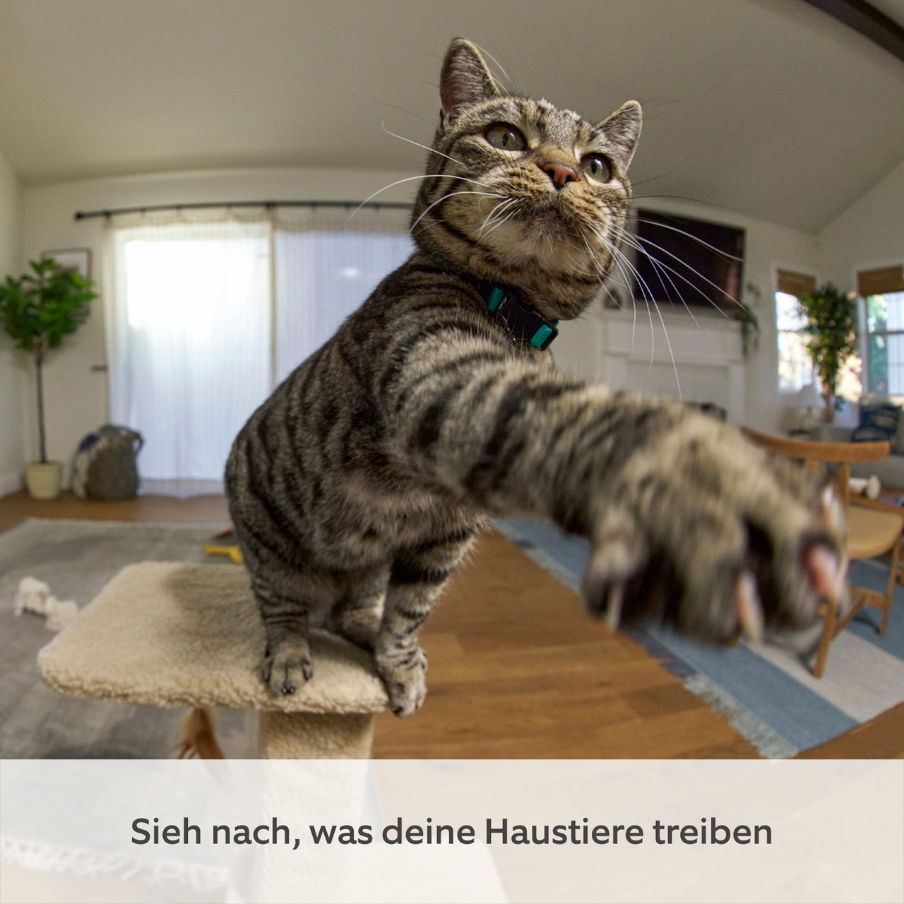 files/ring_pantilt-indoor-camera_wht_05_pets_de_1500x1500_88cf7152-9437-4935-8d30-07e5f70df7a0.jpg