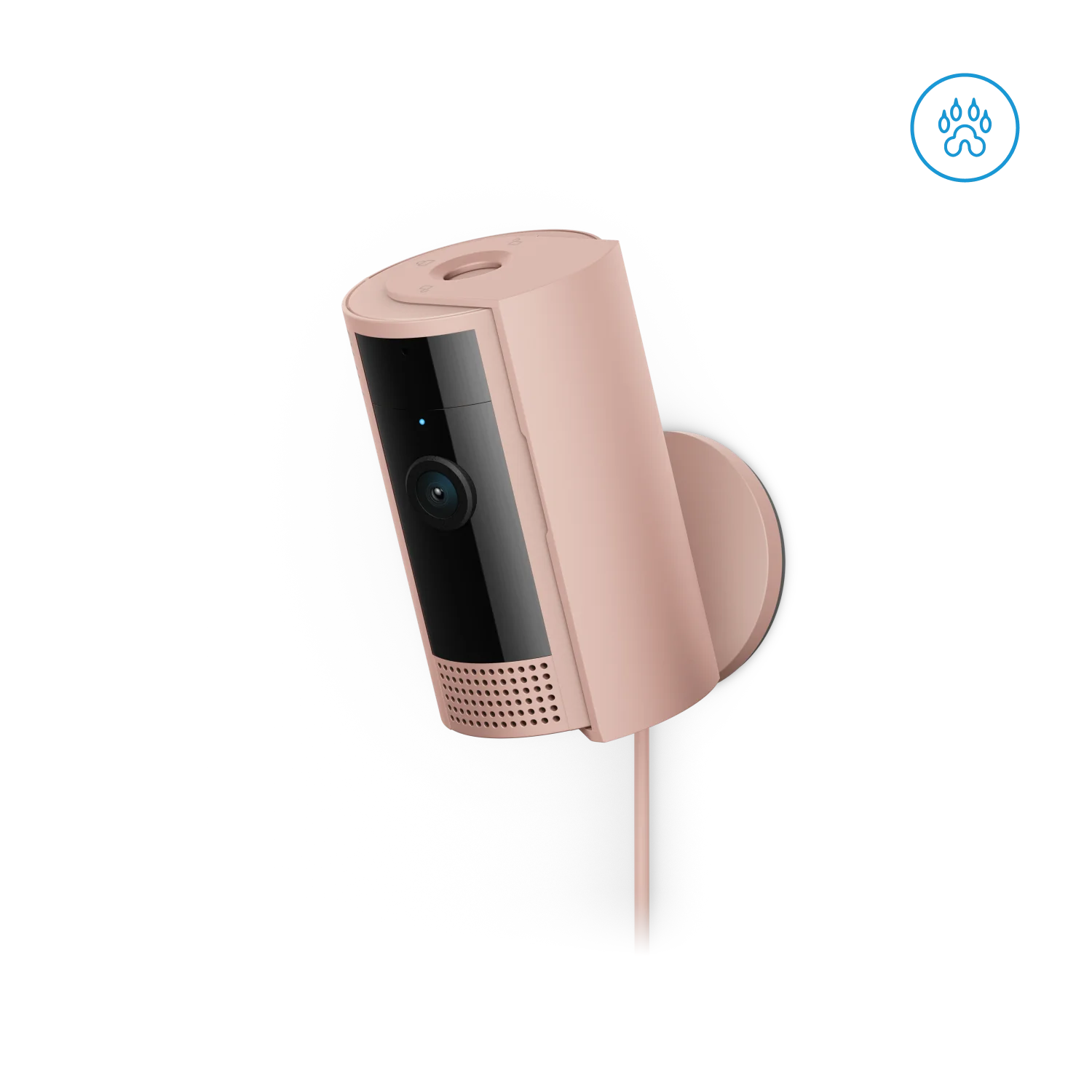 Rosa:Innenkamera (2. Gen.)